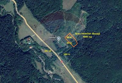 Teren Construcții intravilan de 4003 mp, în Babarunca - 7