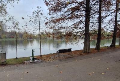 Apartament cu 2 camere la 12 minute de metrourile Dristor 1 si Grigorescu - 31