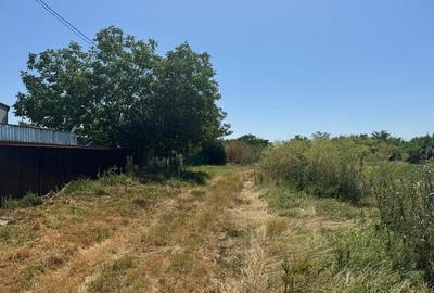 Vanzare Teren construibil 2600mp Gneasa - 7