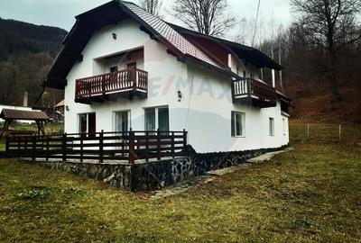 Casă individuală cu 7 camere cu Teren 3580 Mp în Tohănița - 5