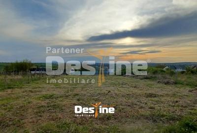 Teren Construcții intravilan de 974 mp, în Bârnova - 4