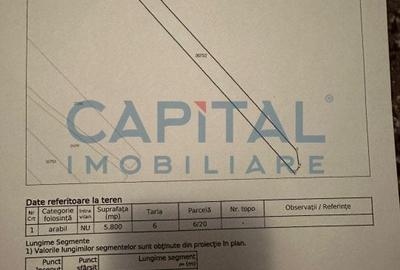 Comision 0%, teren 5800 mp langa raul Caras - 1