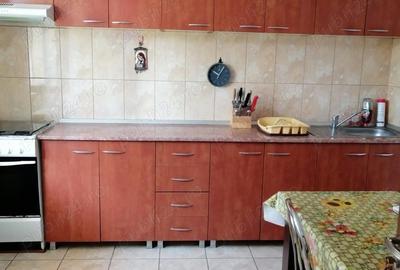 Casă cu 2 camere cu Teren 2300 Mp în Misleanu - 4