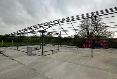 Casă cu 3 camere cu Teren 4000 Mp în Mihăești - 7