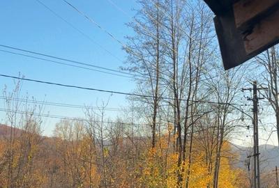 Casă cu Teren 810 Mp în Provița de Jos - 3