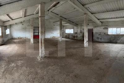 Spațiu comercial, de 740 mp, în Iratoșu - 4