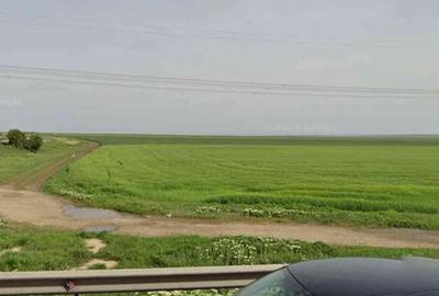 Teren de 88000 mp, în Mihai Viteazu