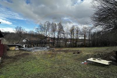 Teren Construcții intravilan de 844 mp, în Moșoaia - 3