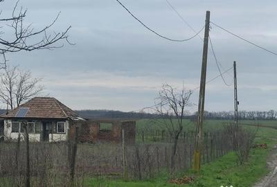Teren în Frumușani - 1