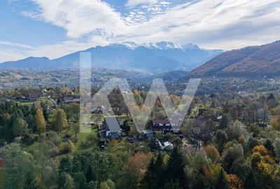 Vanzare teren intravilan 37723 mp Zarnesti Tohanita - 11