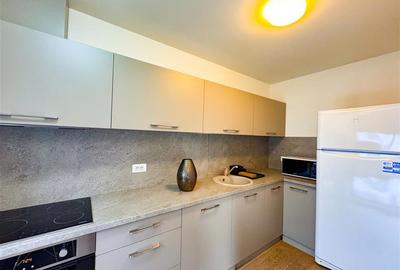 Apartament cu 2 camere semidecomandat, mobilat în Herăstrău - 6