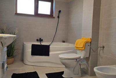 Liniște, confort și intimitate Dumbrăvița - 3