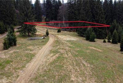 Teren cu potential:1.000 mp,proiect turistic rezidential,Poi - 13