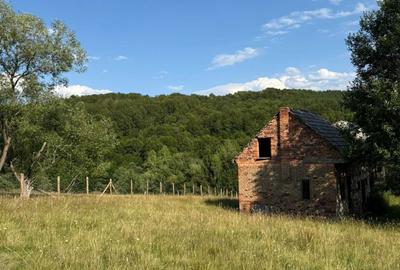 Teren de 21846 mp, în Exterior Vest - 1