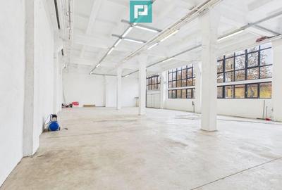 Hala industriala de 295 mp in Arad - 3