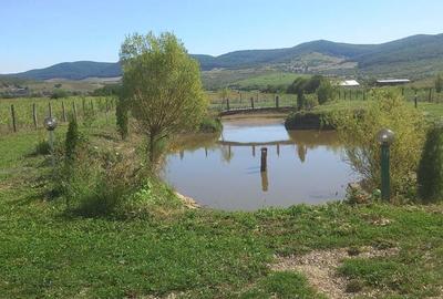 Casă cu 6 camere în Herina - 4