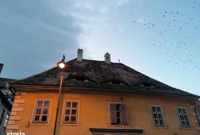 Apartament cu 3 camere în Orașul de Jos - 5