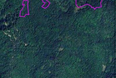 Teren de 3300 mp, în Pietroasa