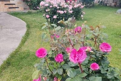 Vila superba in stil mediteranean Saftica- Corbeanca-  COMISION 0. - 4