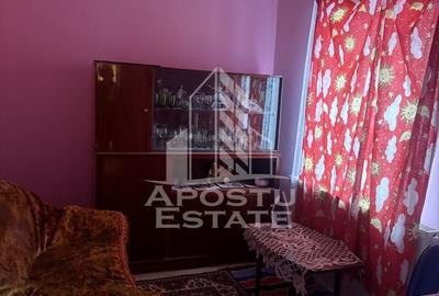 Casa individuala cu teren mare in Remetea Mare - 11