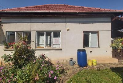 De vaznare casa cu teren in Vlaha - 2