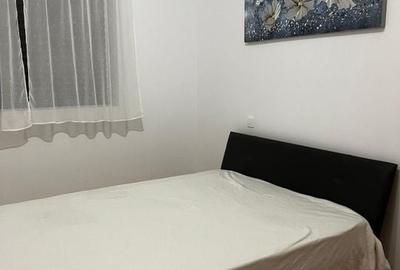 Central-Vasile Lascar, 2 cam dec, mobilat, utilat, parcare, paza - 23