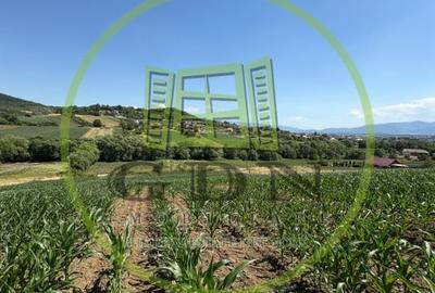 Teren Construcții intravilan de 1000 mp, în Gușterița