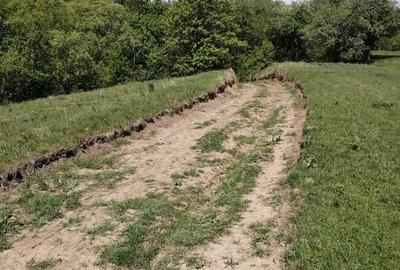 Teren de 1600 mp, în Cacica - 3