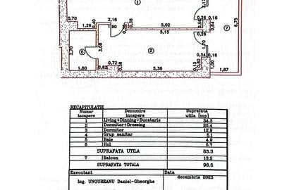 Apartament cu 3 camere semidecomandat în Iancu Nicolae - 11