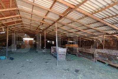 Stana 17.000 mp, Boldesti-Scaeni - 5