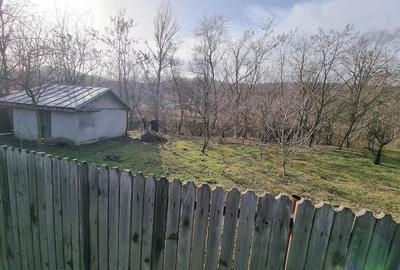 Casă cu 3 camere cu Teren 1523 Mp în Cărbunești - 3