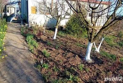 Casă cu 1 camere în Cotorca - 6