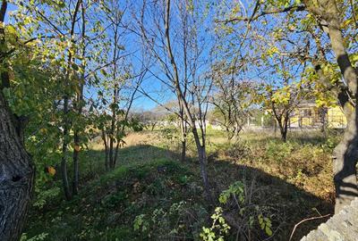 Vand casa cu teren - 5