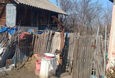 Casă cu 2 camere în Socetu - 7