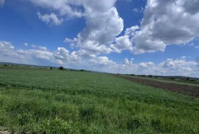 Teren de 10000 mp, în Rădăuți - 2