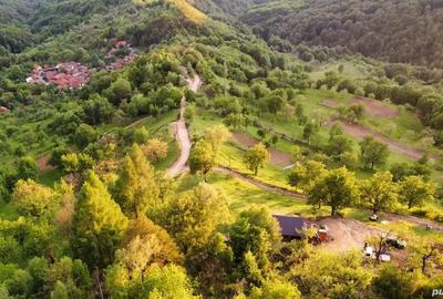 Teren de 2000 mp, în Brusturi - 1