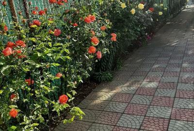 Casă cu 2 camere cu Teren 1400 Mp în Corbu - 2