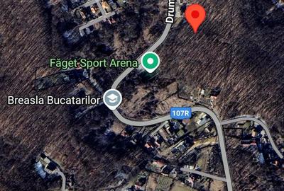 Spațiu comercial, în Făget - 4