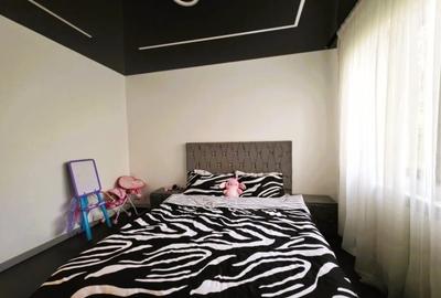Apartament cu 2 camere semidecomandat în Tătărași - 10