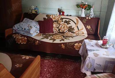 Casă cu 4 camere în Radu Negru