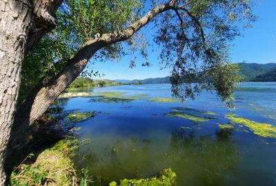 Teren de 1000 mp, în Berzasca - 2
