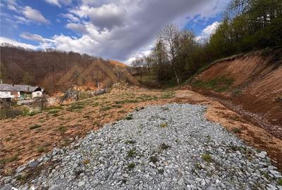 Teren de 5000 mp, în Tăuții-Măgherăuș - 6
