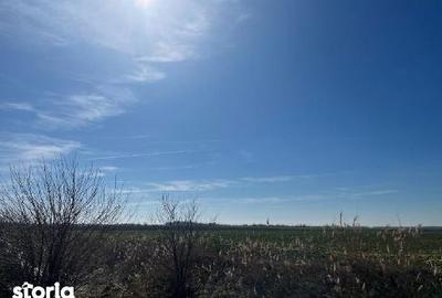 Teren de 1000 mp, în Central - 5