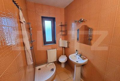 Casă cu 4 camere cu Teren 500 Mp în Cărpiniș (Roșia Montană) - 14