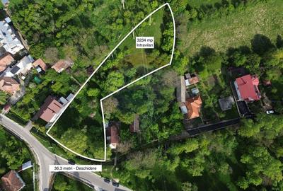 Teren Construcții intravilan de 3234 mp, în Lerești - 1