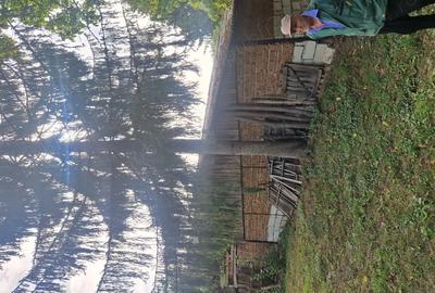 Csa 2 camere. Cosesti-Arges. - 4