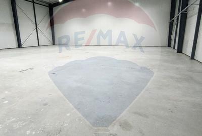 Spațiu industrial, de 572 mp, în Chiajna - 1