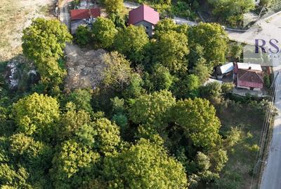 Teren de vanzare , 4834 MP, zona Vladesti - 2