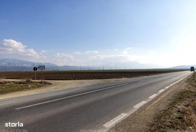 Teren de 19239 mp, în Vulcan - 10