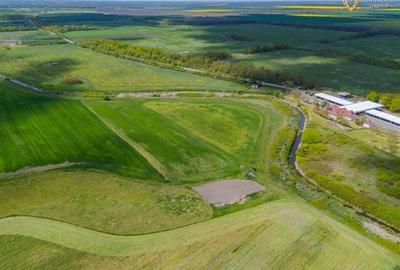 Teren agricol extravilan de 18000 mp, în Turnu - 6